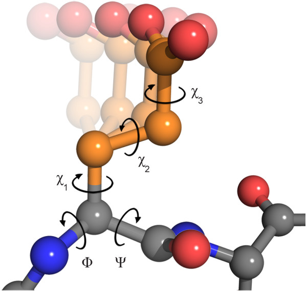 Dihedral-angles-in-glutamate-Dihedral-angles-are-the-main-degrees-of-freedom-for-the 2 1.jpeg