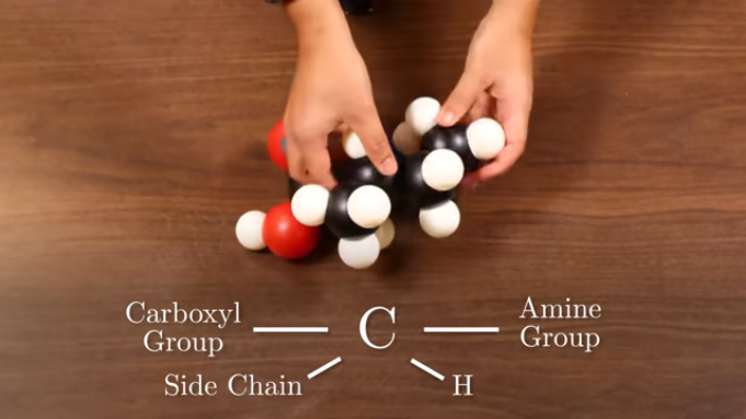 Pasted image 20251110110830.png