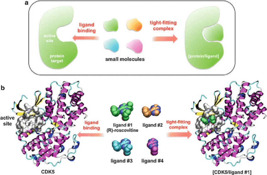 Pasted image 20260206141843.png