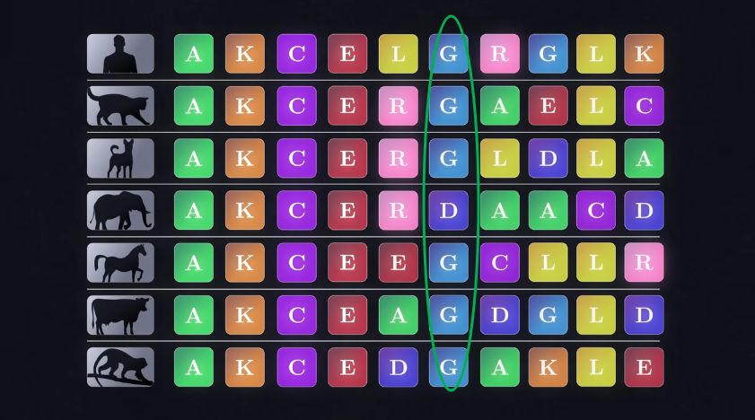 Pasted image 20260207201810.png