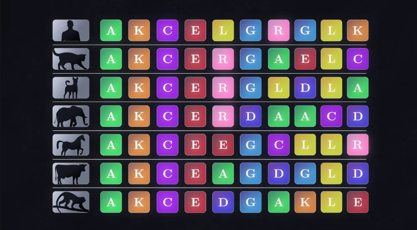 Pasted image 20260208230432.png