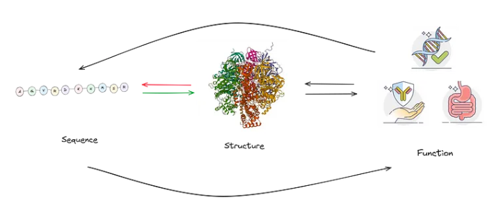 Sequential, Structural and Function representations, as from our previous blogpost. 1.webp